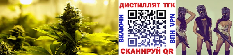 kraken ССЫЛКА Урус-Мартан ТГК Wax