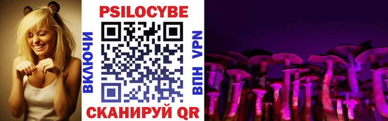 Псилоцибиновые грибы Psilocybine cubensis  гидра как войти  Урус-Мартан 