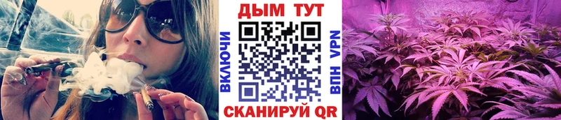 МАРИХУАНА MAZAR  где купить   Урус-Мартан 